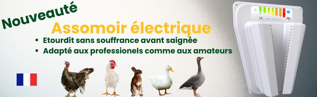 Assomoir volailles et lapins